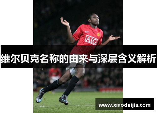 维尔贝克名称的由来与深层含义解析