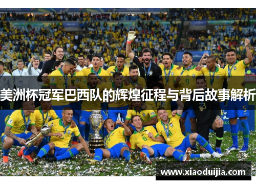 美洲杯冠军巴西队的辉煌征程与背后故事解析